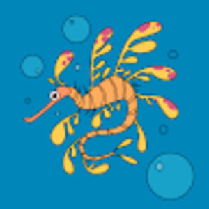 Meet your Posher, Krista